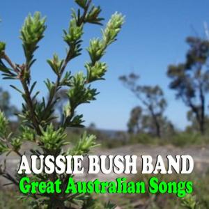 收聽Aussie Bush Band的I Was Only Nineteen歌詞歌曲