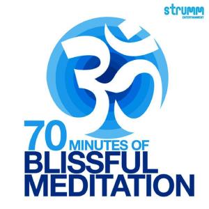 ดาวน์โหลดและฟังเพลง Om 70 Minutes of Blissful Meditation พร้อมเนื้อเพลงจาก Sanjeev Chimmalgi