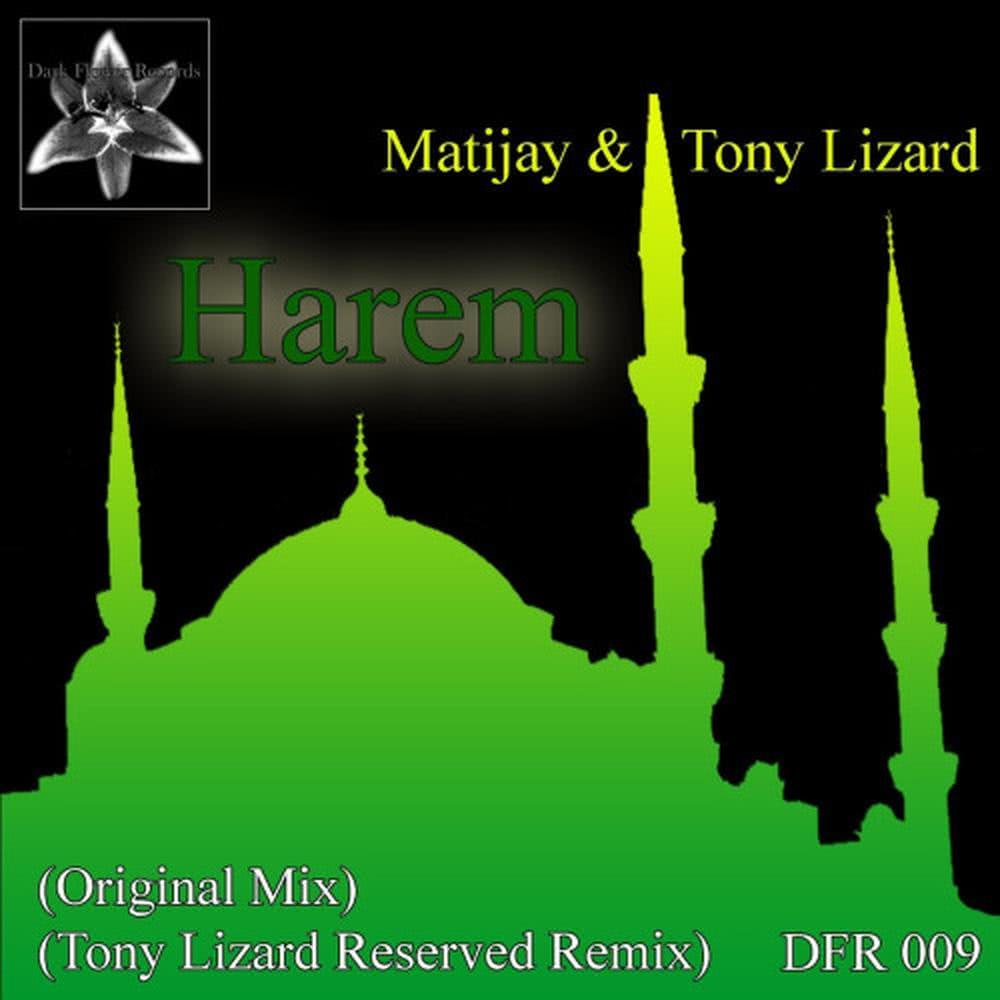 Harem (Tony Lizard Reserved Remix)