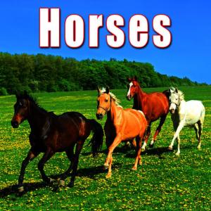 ดาวน์โหลดและฟังเพลง Low Whinny from Hanoverian Horse พร้อมเนื้อเพลงจาก Sound Ideas