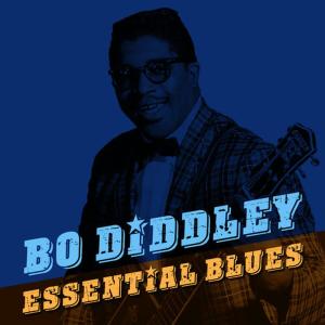 ดาวน์โหลดและฟังเพลง I Love You So พร้อมเนื้อเพลงจาก Bo Diddley
