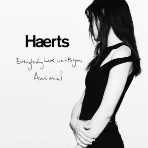 ดาวน์โหลดและฟังเพลง Animal พร้อมเนื้อเพลงจาก HAERTS