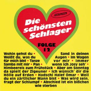 收聽Christian König的Was wird sein, fragt der Schlumpf歌詞歌曲