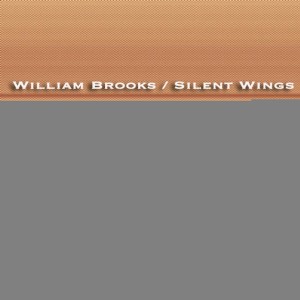 ดาวน์โหลดและฟังเพลง Maybe Meagan พร้อมเนื้อเพลงจาก William Brooks