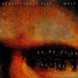 ดาวน์โหลดและฟังเพลง Such a Daze พร้อมเนื้อเพลงจาก Straightjacket Fits