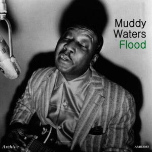 ดาวน์โหลดและฟังเพลง Oh Wee พร้อมเนื้อเพลงจาก Muddy Waters