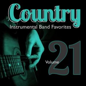 ดาวน์โหลดและฟังเพลง There Is No Arizona (Instrumental Version) พร้อมเนื้อเพลงจาก Hit Crew Masters