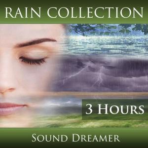 ดาวน์โหลดและฟังเพลง Wind Rain and Thunderstorm Sounds - 1 Hour พร้อมเนื้อเพลงจาก Sound Dreamer