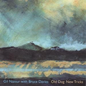 ดาวน์โหลดและฟังเพลง On The Deck พร้อมเนื้อเพลงจาก Gil Namur