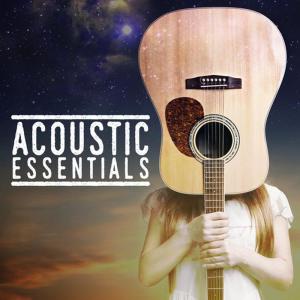 ดาวน์โหลดและฟังเพลง It Ain't Me Babe พร้อมเนื้อเพลงจาก Acoustic Hits