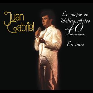收聽Juan Gabriel的Te Lo Pido por Favor (En Vivo) (En el Palacio de Bellas Artes) (En Vivo|En el Palacio de Bellas Artes)歌詞歌曲
