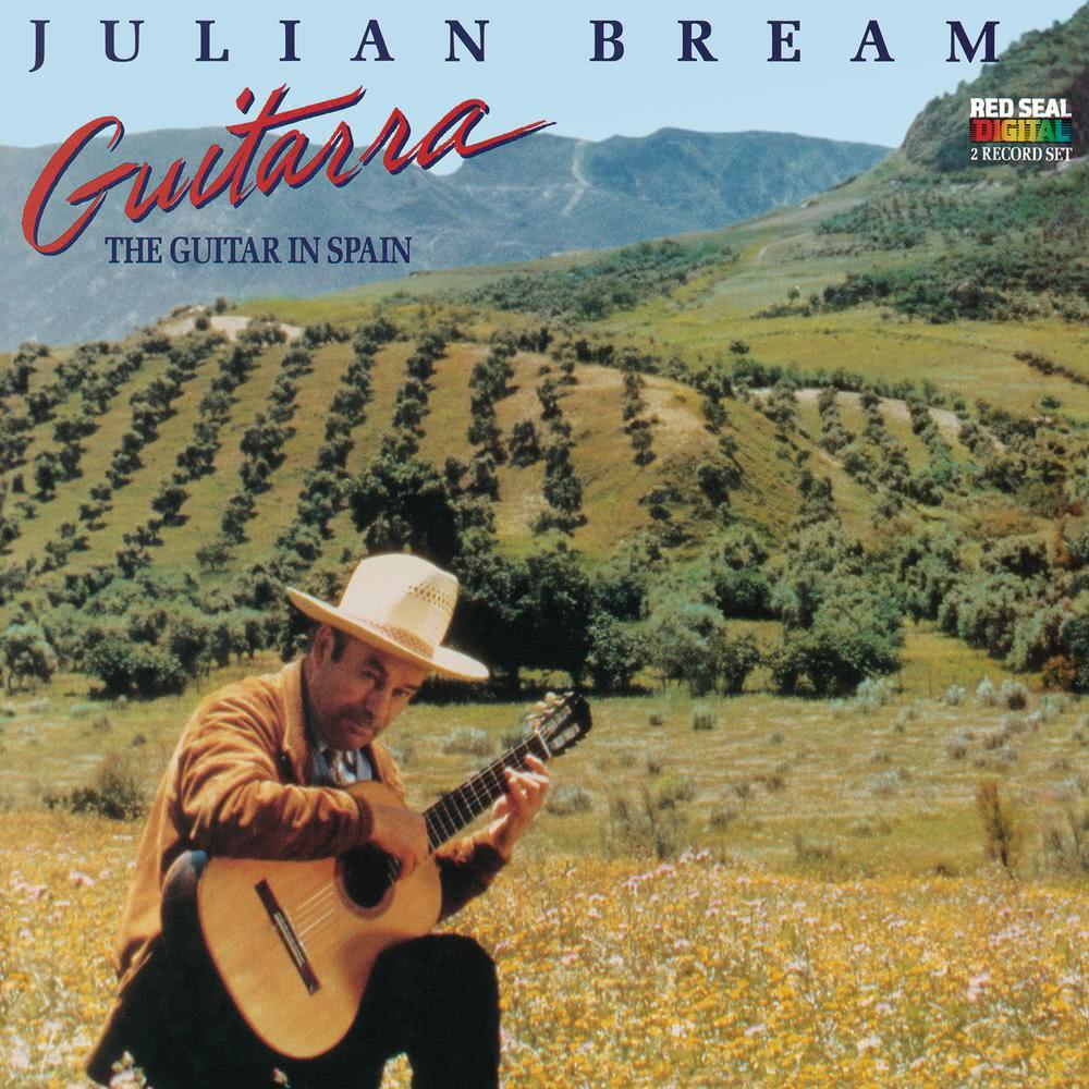Guitarra - The Guitar in Spain