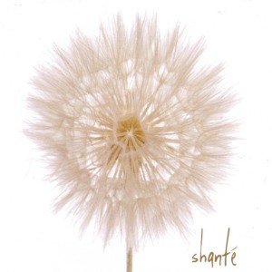 ดาวน์โหลดและฟังเพลง True Colors พร้อมเนื้อเพลงจาก Shante