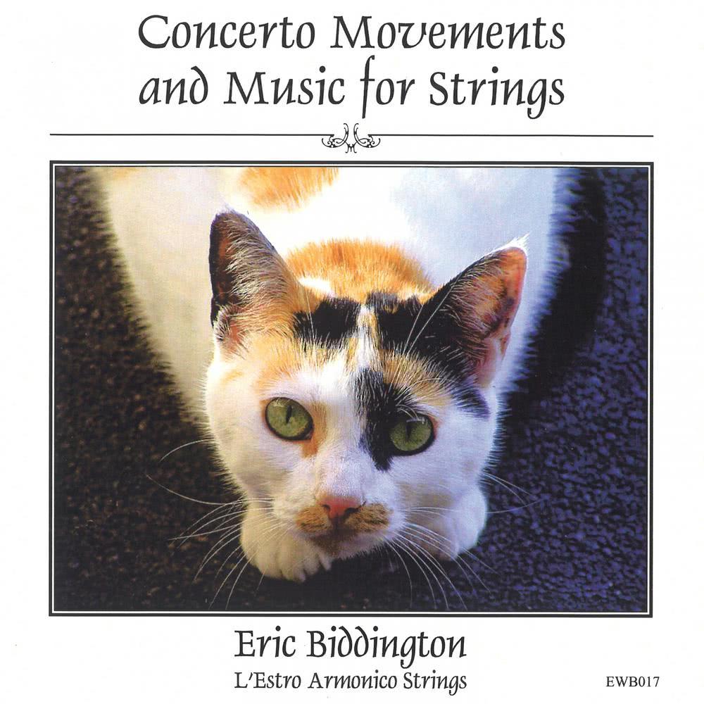 Concerto for Cello and String Orchestra: I. Introduction