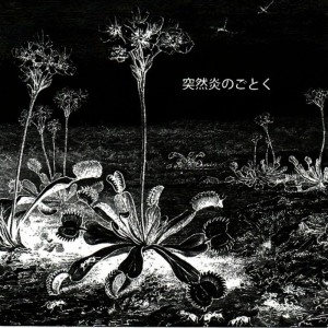 ดาวน์โหลดและฟังเพลง After the Storm (Alternate Version) พร้อมเนื้อเพลงจาก LSD-march