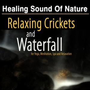 ดาวน์โหลดและฟังเพลง River for SPA Relaxation พร้อมเนื้อเพลงจาก Deep Sleep Music
