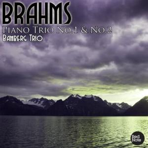 Bamberg Trio的專輯Brahms: Piano Trio No.1 & No.2