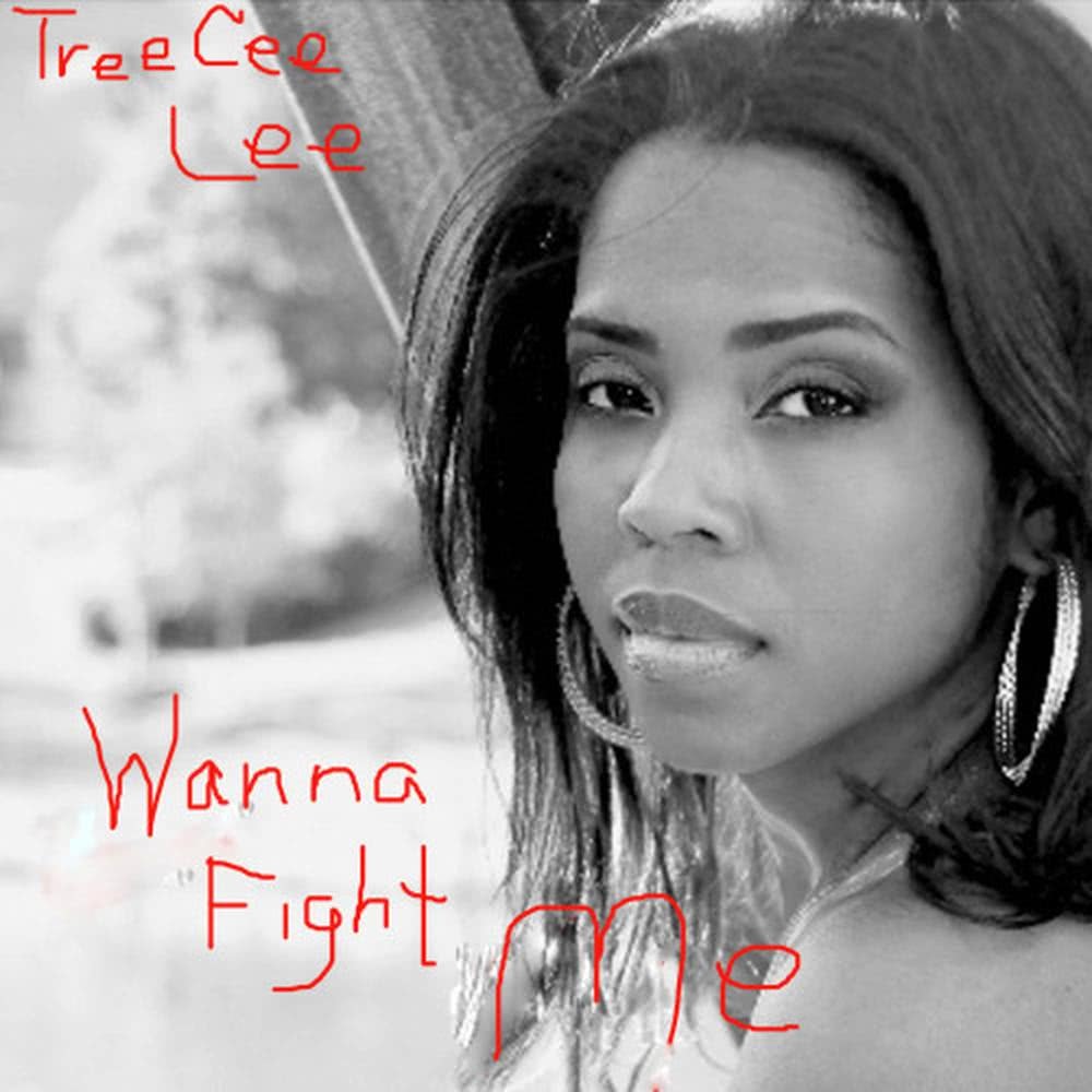 Wanna Fight Me [acoustic] (Acoustic)
