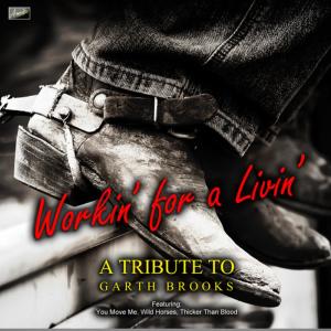 收聽Ameritz Tribute Tracks的Do What You Gotta Do歌詞歌曲