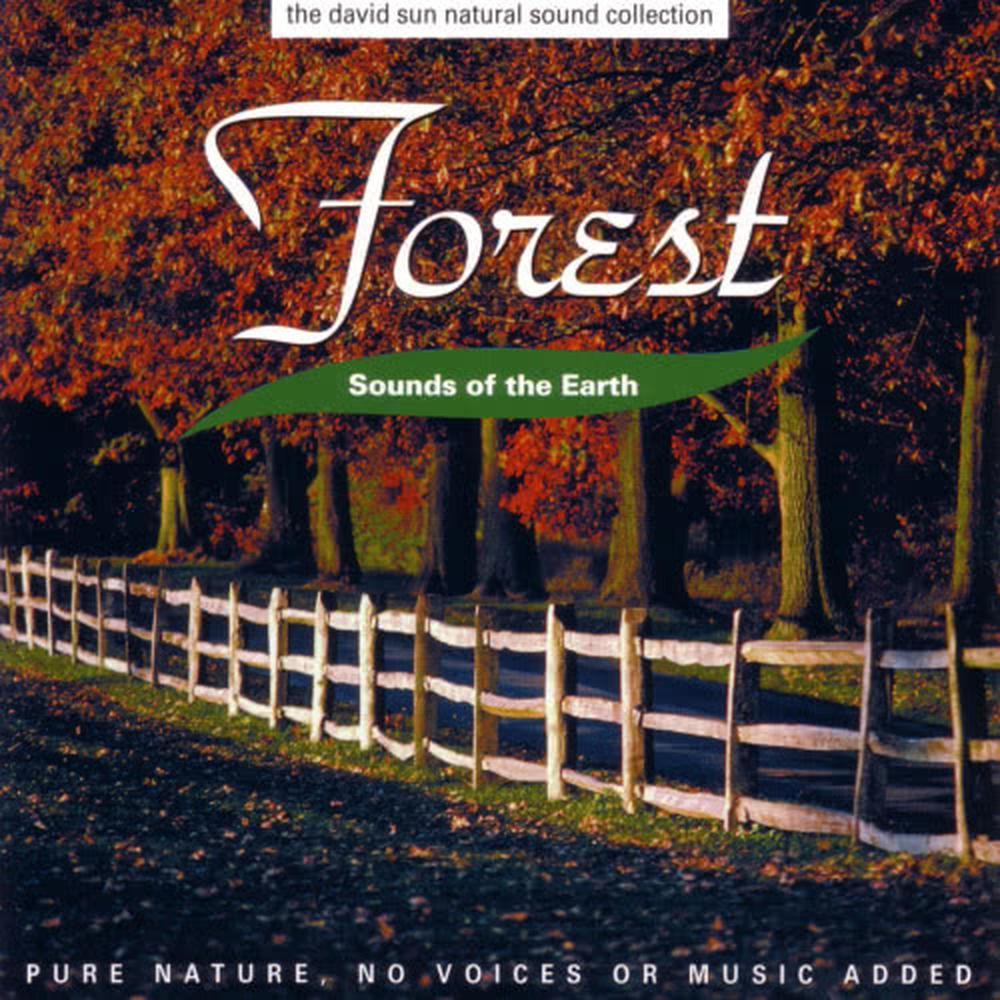 Forest Song