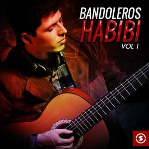 收聽Bandoleros Art的Ay Ven Chiquita 2歌詞歌曲
