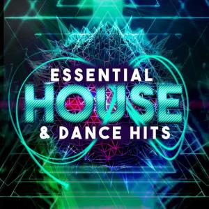 收聽House & Dance的Tranzform歌詞歌曲