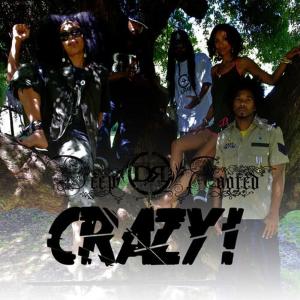 收聽Deep Rooted的Crazy (Clean)歌詞歌曲