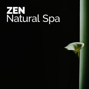 ดาวน์โหลดและฟังเพลง Evening Birds พร้อมเนื้อเพลงจาก Deep Sleep Nature Sounds
