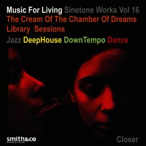 ดาวน์โหลดและฟังเพลง What Do You Think พร้อมเนื้อเพลงจาก Sinetone