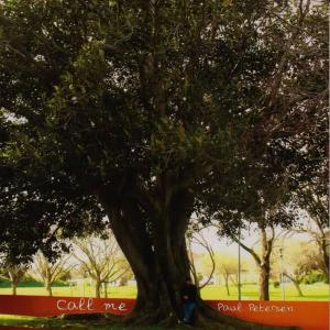 收聽Paul Petersen的Over the Rainbow / What a Wonderful World歌詞歌曲