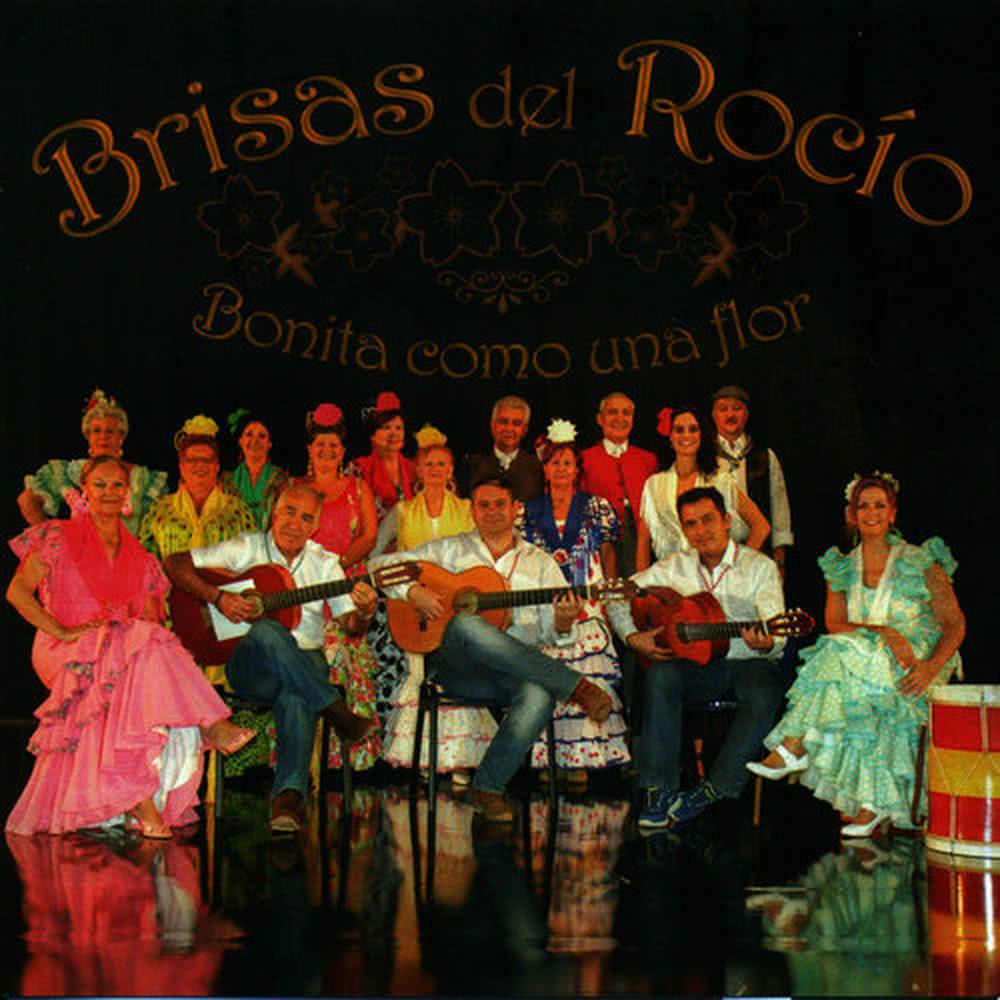 Salve Olé Olé