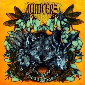 ดาวน์โหลดและฟังเพลง Fried พร้อมเนื้อเพลงจาก Winters
