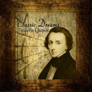 ดาวน์โหลดและฟังเพลง Preludio en D Flat Major, Op.28 No.15: Gota de Agua พร้อมเนื้อเพลงจาก Orquesta Lírica de Barcelona