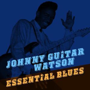 收聽Johnny Guitar Watson的No I Can't歌詞歌曲