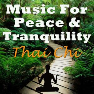 ดาวน์โหลดและฟังเพลง Fountain of the Youth พร้อมเนื้อเพลงจาก Tai Chi