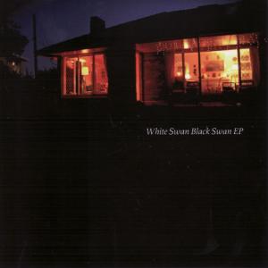 ดาวน์โหลดและฟังเพลง Stop and Go พร้อมเนื้อเพลงจาก White Swan Black Swan