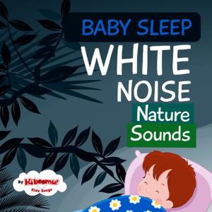 ดาวน์โหลดและฟังเพลง Nature Sounds for Sleep พร้อมเนื้อเพลงจาก The Kiboomers