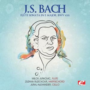 ดาวน์โหลดและฟังเพลง Flute Sonata in E Major, BWV 1035: IV. Allegro assai พร้อมเนื้อเพลงจาก Zuzana Ruzickova