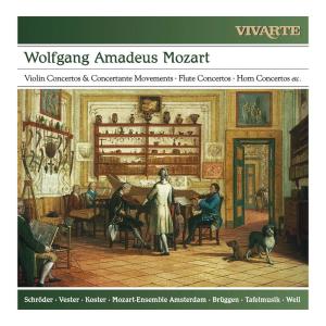 ดาวน์โหลดและฟังเพลง Concerto for Flute and Accompaniment in G Major, K. 313 (285c): I. Allegro maestoso (Instrumental) พร้อมเนื้อเพลงจาก Frans Brüggen
