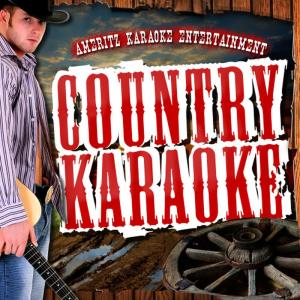 ดาวน์โหลดและฟังเพลง Lovesick Blues (In the Style of Hank Williams) (Karaoke Version) พร้อมเนื้อเพลงจาก Ameritz Karaoke Entertainment
