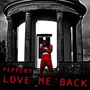 ดาวน์โหลดและฟังเพลง Love Me Back พร้อมเนื้อเพลงจาก Peppery