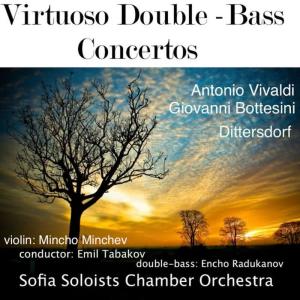 收聽Sofia Soloists Chamber Orchestra的Sinfonia Concertante For Viola, Double-Bass And Orchestra: 2. Andantino歌詞歌曲