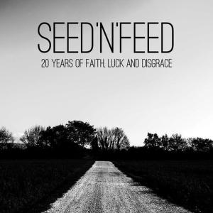 ดาวน์โหลดและฟังเพลง Good Good Things พร้อมเนื้อเพลงจาก Seed'n'feed