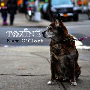 อัลบัม Now O'clock ศิลปิน Toxine