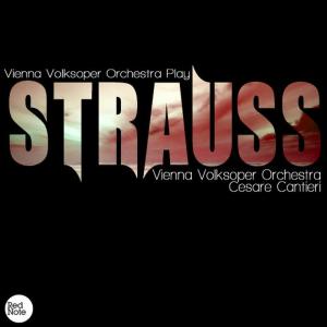 อัลบัม Strauss: Vienna Volksoper Orchestra Play ศิลปิน Vienna Volksoper Orchestra