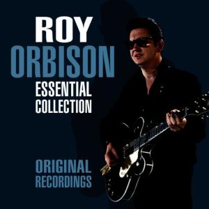 ดาวน์โหลดและฟังเพลง A True Love Goodbye พร้อมเนื้อเพลงจาก Roy Orbison