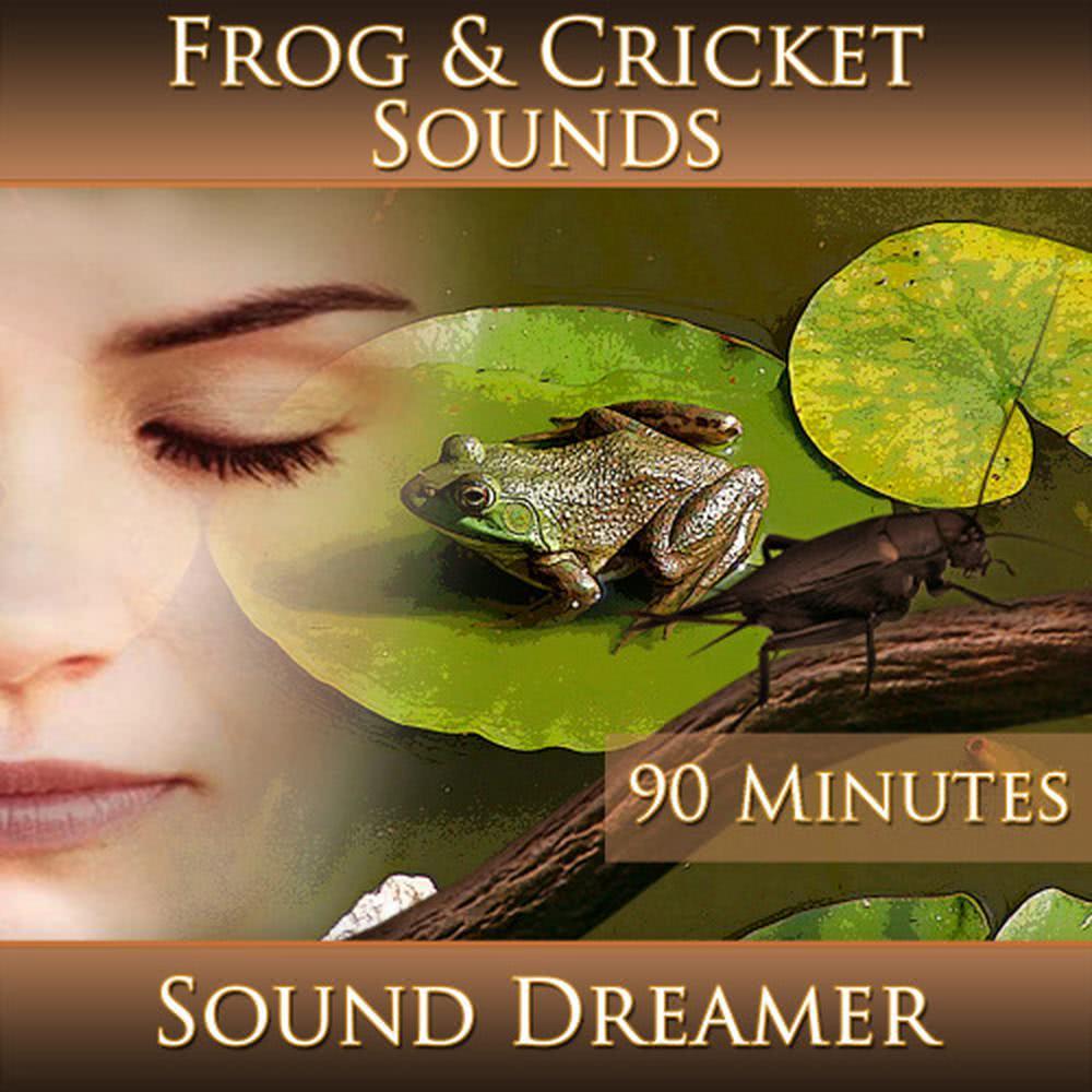 Frog and Cricket Sounds - 90 Minutes