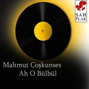 ดาวน์โหลดและฟังเพลง Boşa Yandım พร้อมเนื้อเพลงจาก Mahmut Coşkunses