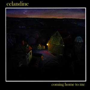 ดาวน์โหลดและฟังเพลง Bury Me Low พร้อมเนื้อเพลงจาก Celandine