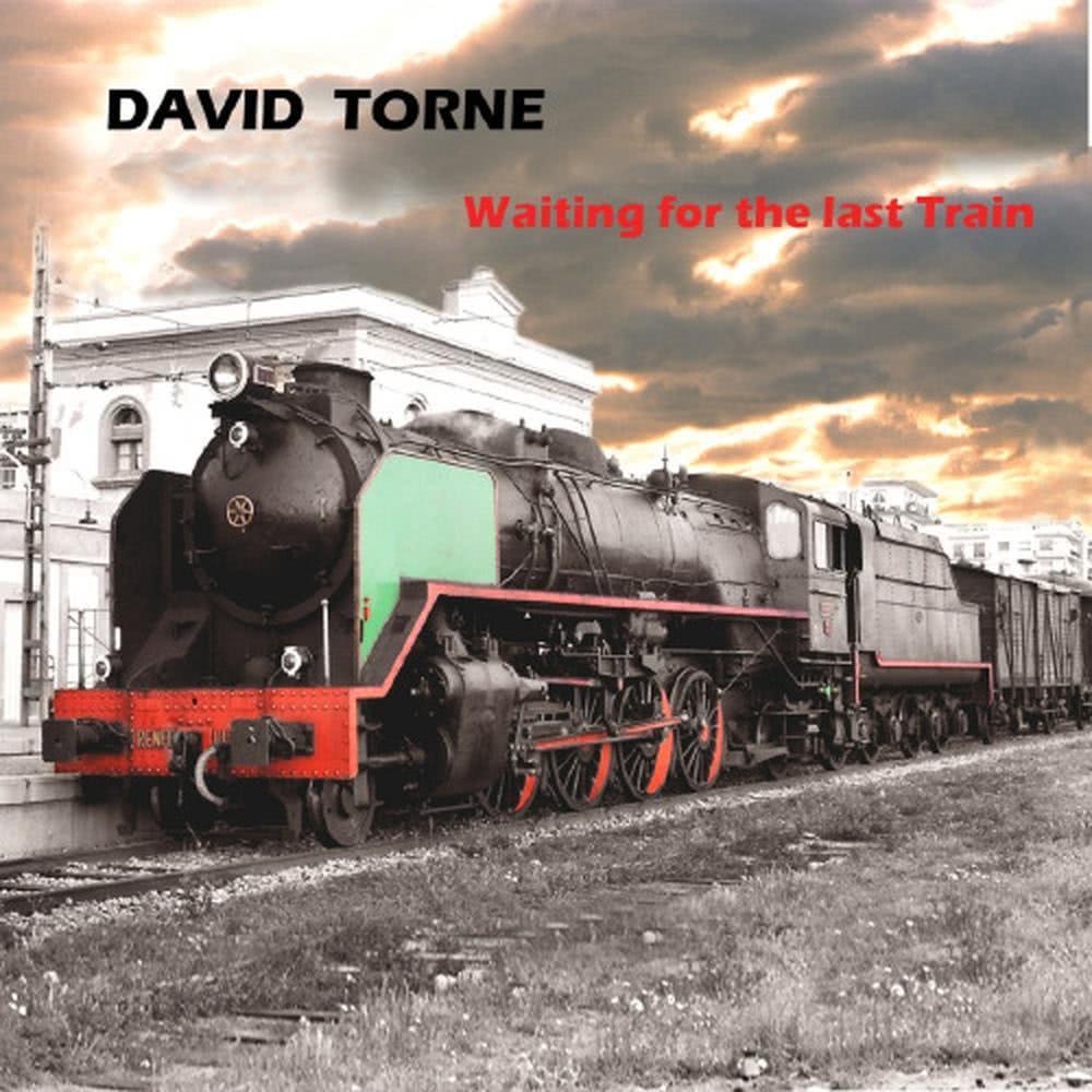 Waiting For The Last Train